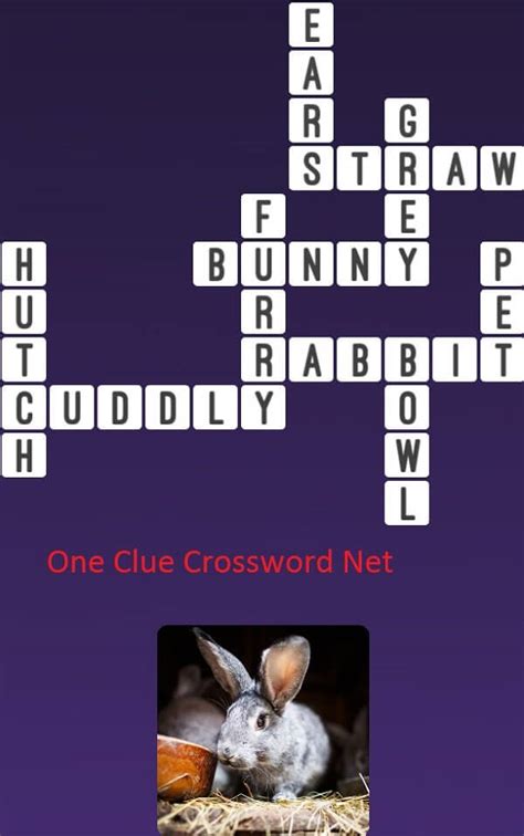 bunny crossword clue|rabbit Crossword Clue